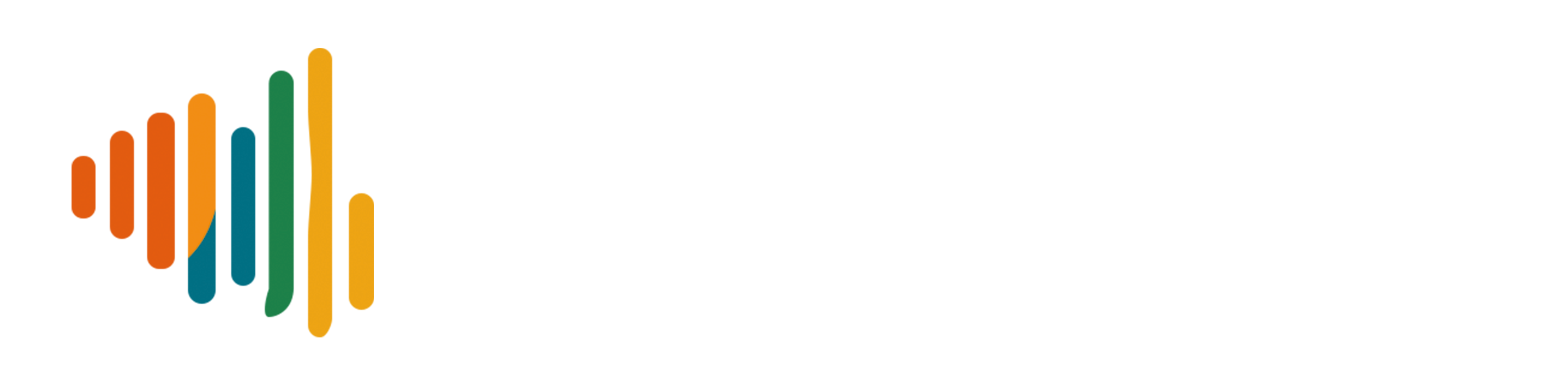 Stichting Vision Sound
